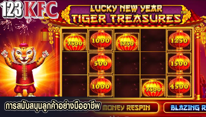 การสนับสนุนลูกค้าอย่างมืออาชีพ